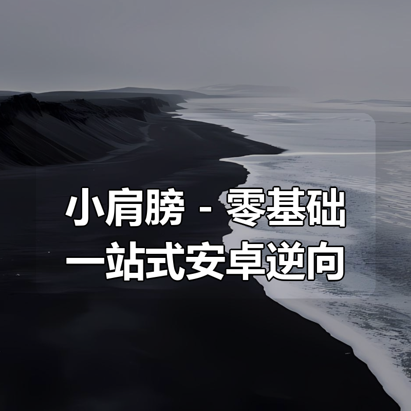 小肩膀 – 零基础一站式安卓逆向|shaocun资源站 - 你的知识成长补给站