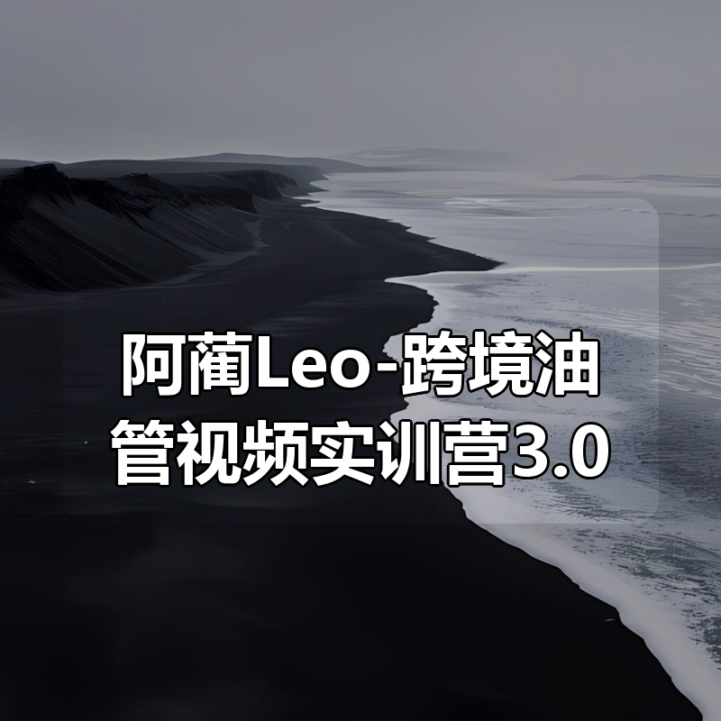 阿蔺Leo-跨境油管视频实训营3.0|shaocun资源站 - 你的知识成长补给站