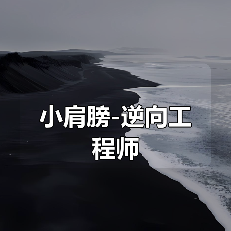 小肩膀-逆向工程师|shaocun资源站 - 你的知识成长补给站