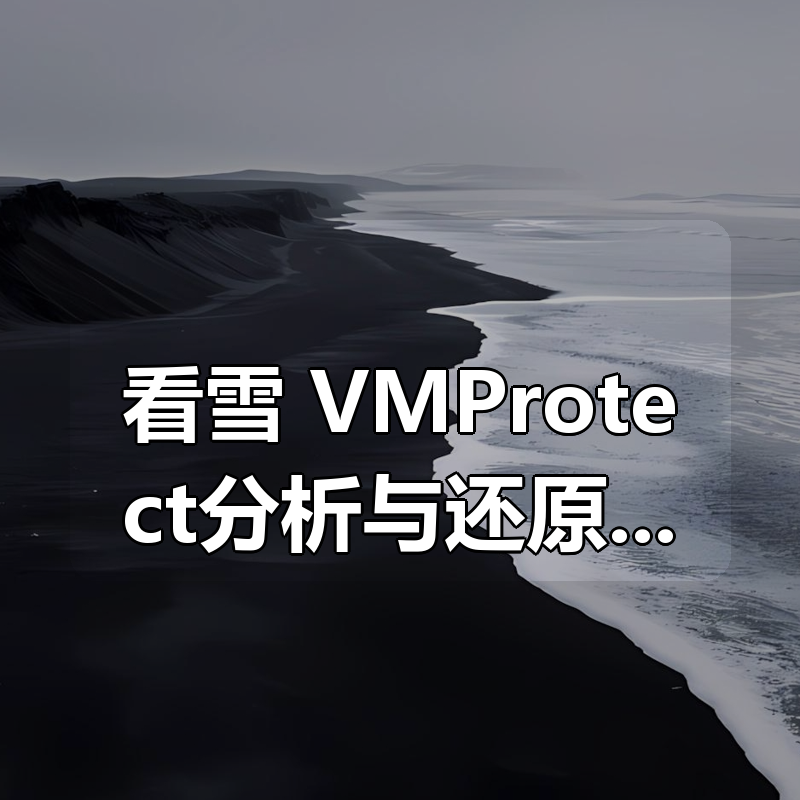看雪 VMProtect分析与还原 – 带源码课件|shaocun资源站 - 你的知识成长补给站