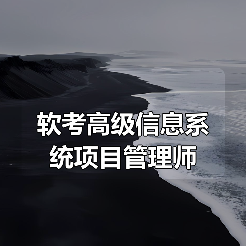 老金老师 软考高级信息系统项目管理师|shaocun资源站 - 你的知识成长补给站