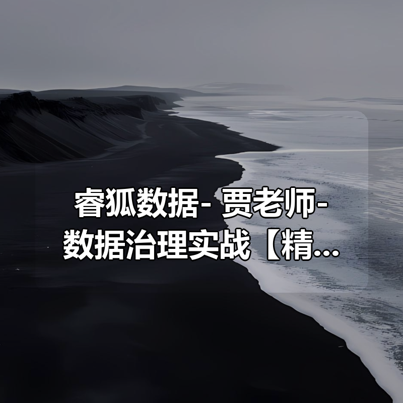 睿狐数据- 贾老师-数据治理实战【精讲班】|shaocun资源站 - 你的知识成长补给站