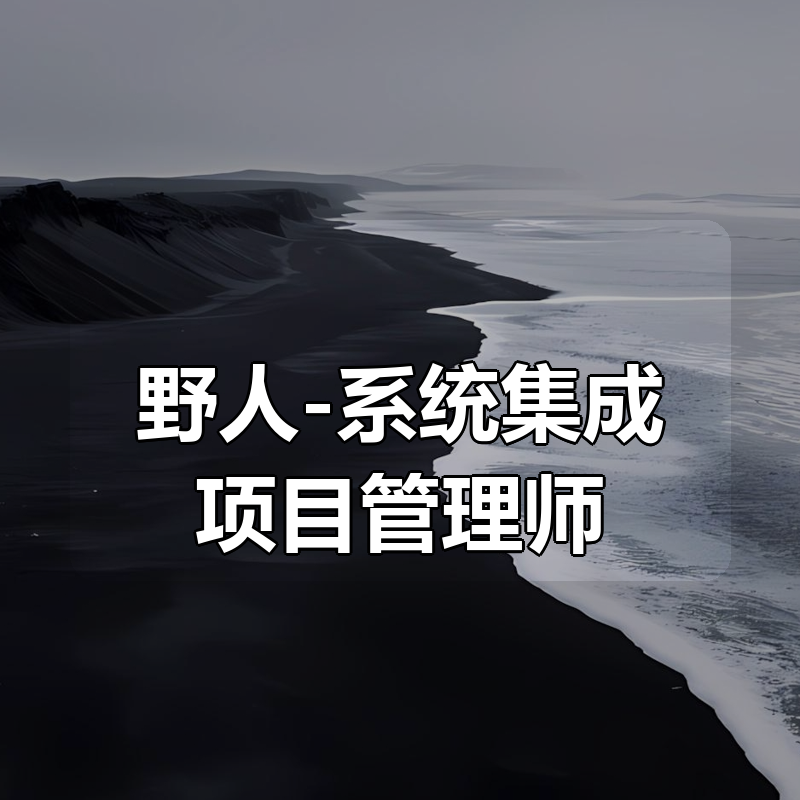野人-系统集成项目管理师|shaocun资源站 - 你的知识成长补给站