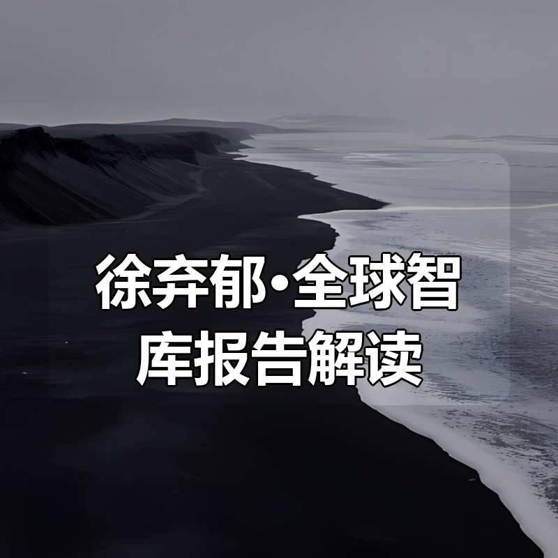 徐弃郁·全球智库报告解读（2024-2025）|shaocun资源站 - 你的知识成长补给站
