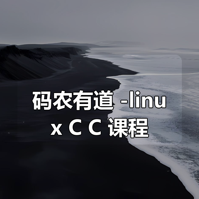 码农有道 -linux C C++课程|shaocun资源站 - 你的知识成长补给站