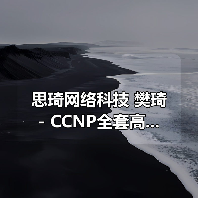 思琦网络科技 樊琦- CCNP全套高清|shaocun资源站 - 你的知识成长补给站