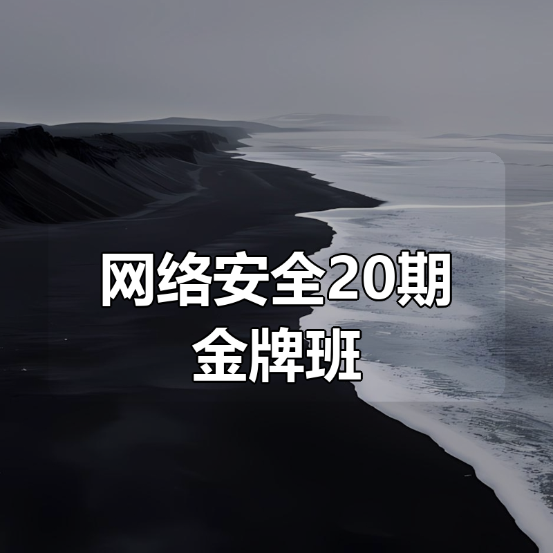 网络安全20期金牌班|shaocun资源站 - 你的知识成长补给站