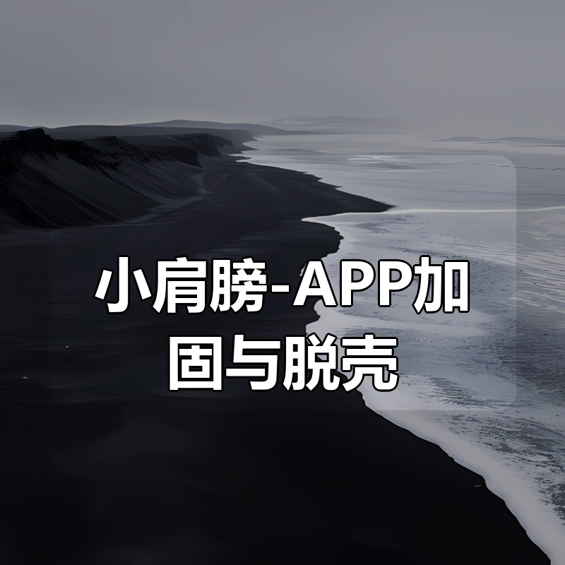 小肩膀-APP加固与脱壳|shaocun资源站 - 你的知识成长补给站