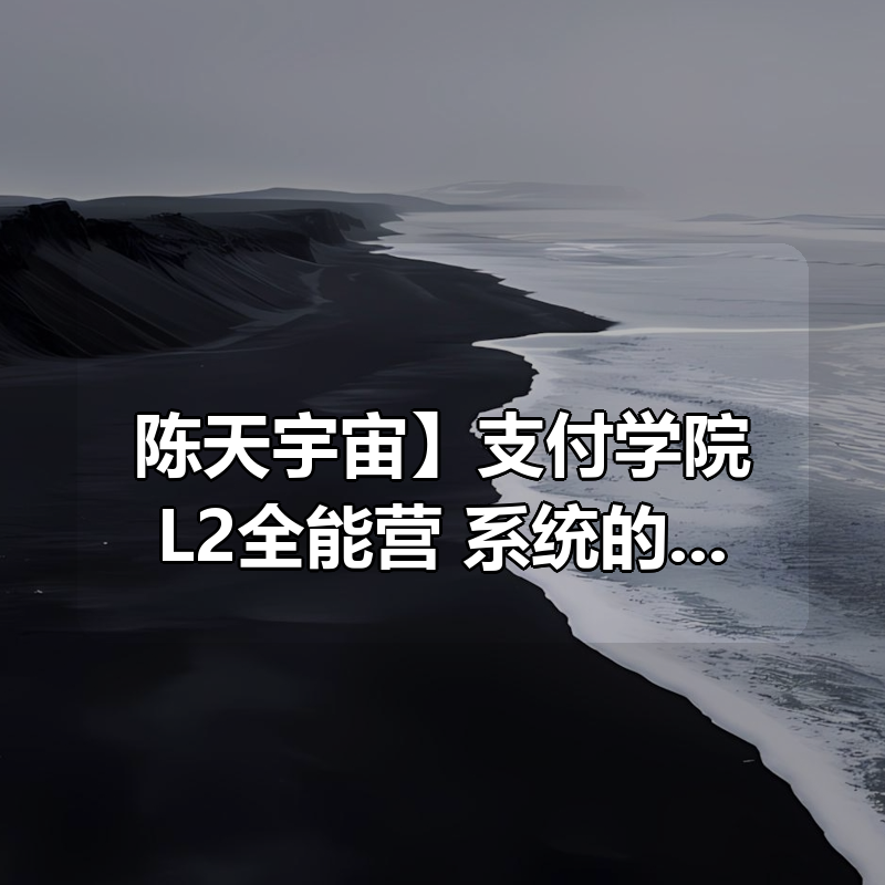 【陈天宇宙】支付学院L2全能营，系统的支付理论体系课|shaocun资源站 - 你的知识成长补给站
