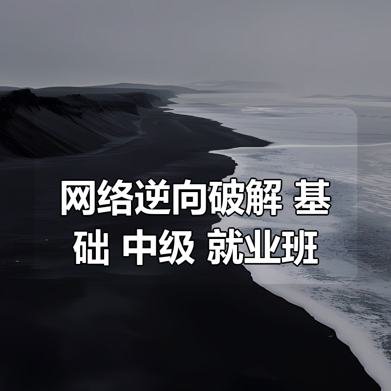 网络逆向破解 基础+中级+就业班合集（完结）|shaocun资源站 - 你的知识成长补给站