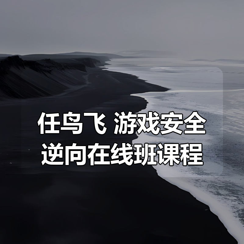 任鸟飞 游戏安全逆向在线班课程|shaocun资源站 - 你的知识成长补给站