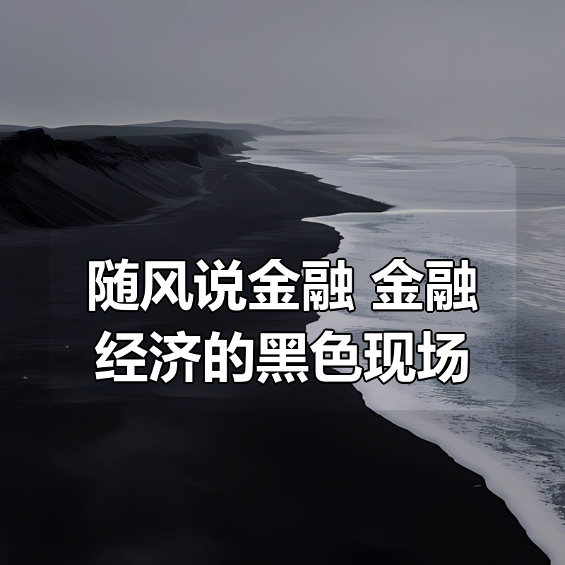 随风说金融， 金融经济的黑色现场|shaocun资源站 - 你的知识成长补给站