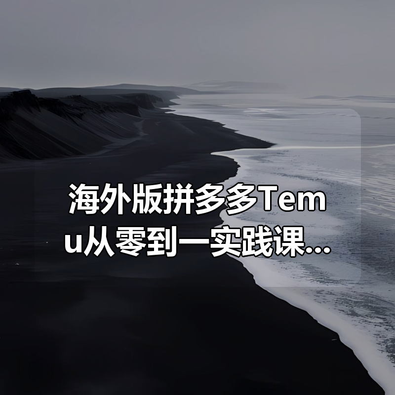 海外版拼多多Temu从零到一实践课，从入驻到运营的最全教程|shaocun资源站 - 你的知识成长补给站