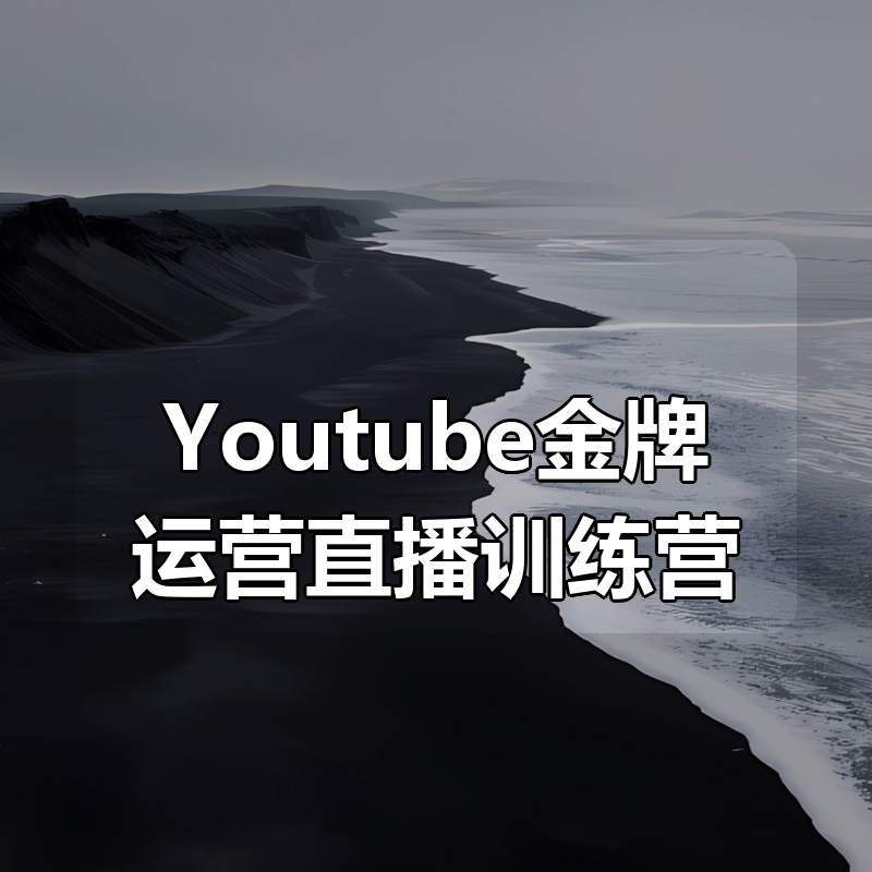 Youtube金牌运营直播训练营