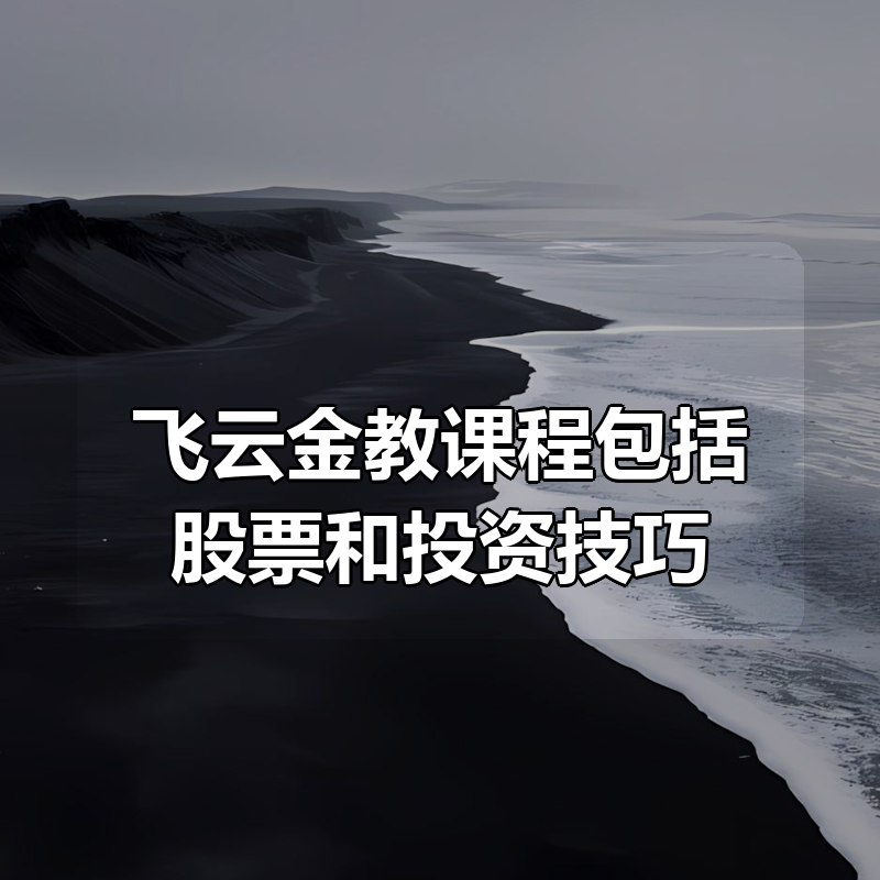飞云金教课程合集包括股票和投资技巧