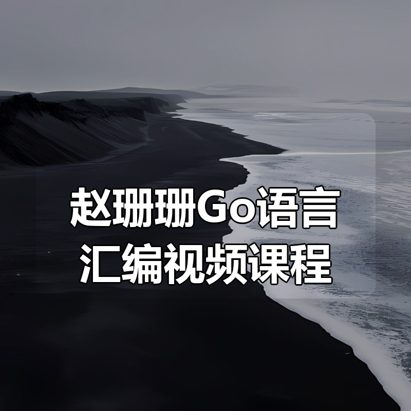 赵珊珊Go语言汇编视频课程
