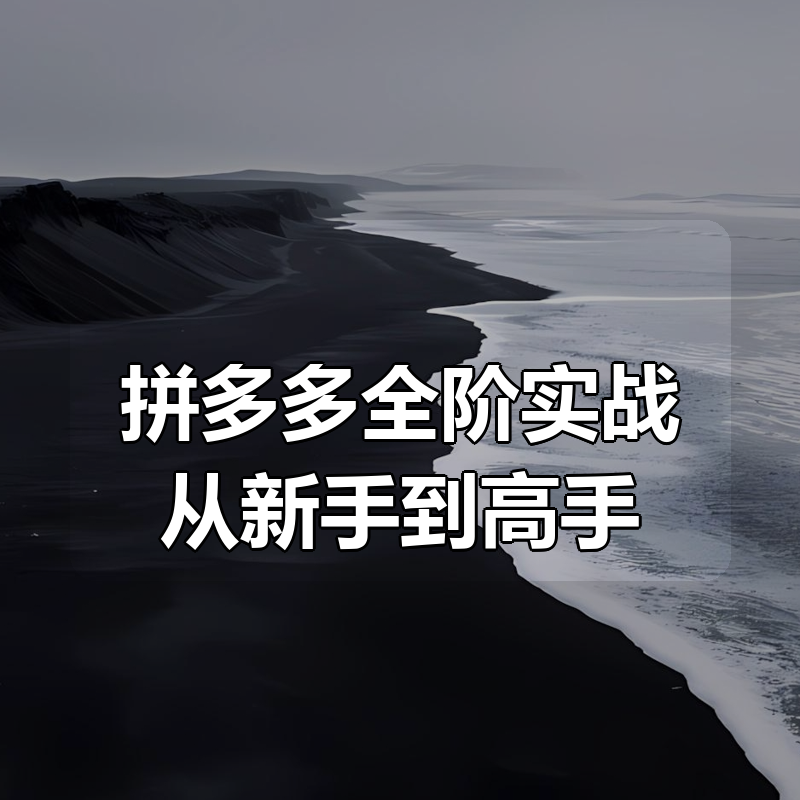 拼多多全阶实战从新手到高手|shaocun资源站 - 你的知识成长补给站