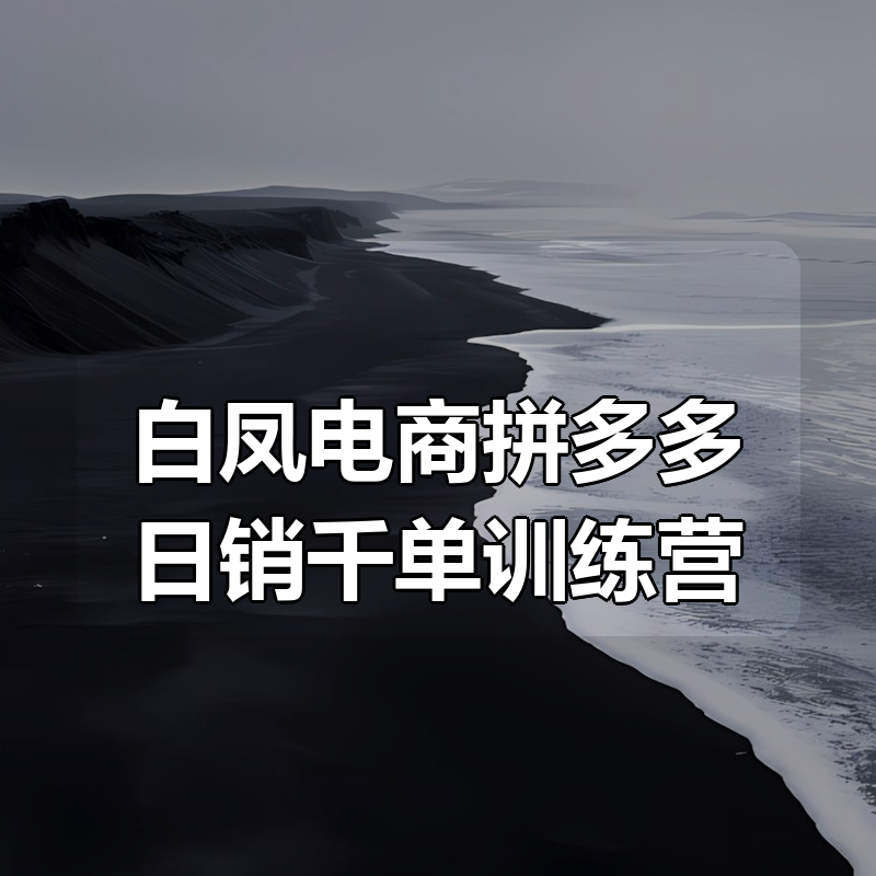 白凤电商拼多多日销千单训练营|shaocun资源站 - 你的知识成长补给站