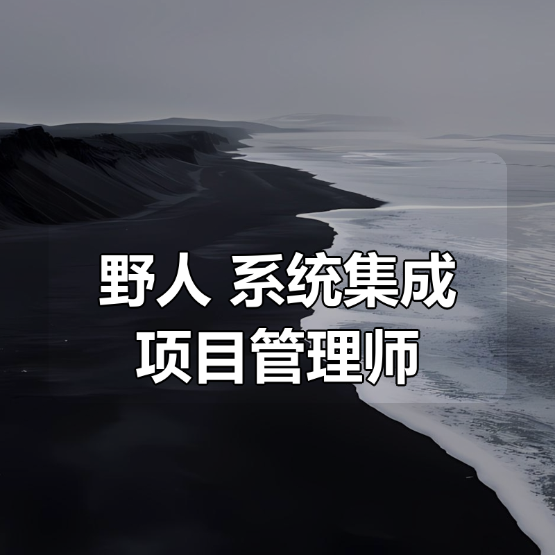 野人 系统集成项目管理师|shaocun资源站 - 你的知识成长补给站