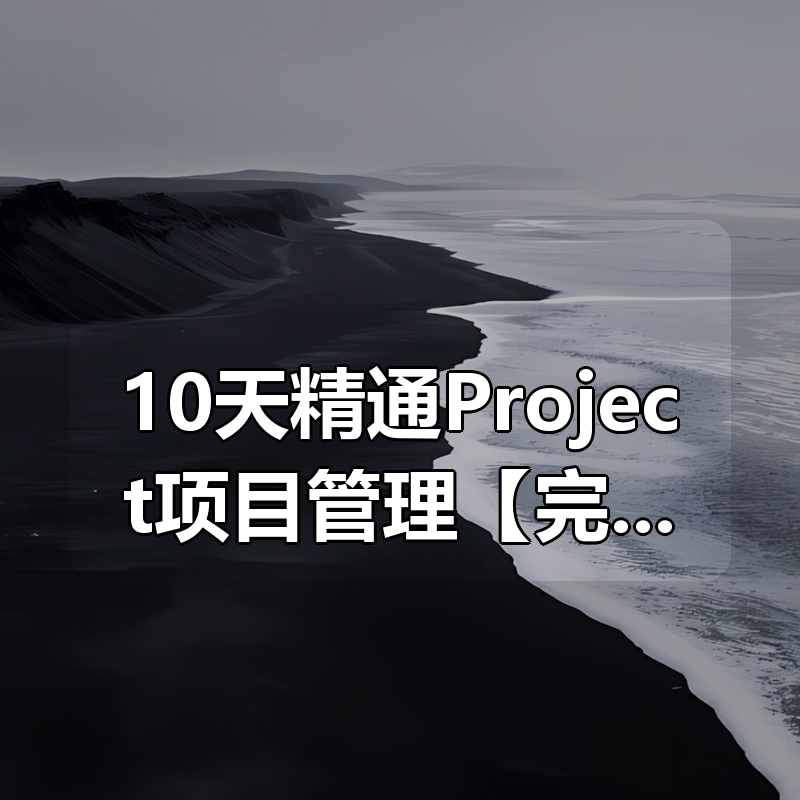 10天精通Project项目管理【完结】|shaocun资源站 - 你的知识成长补给站