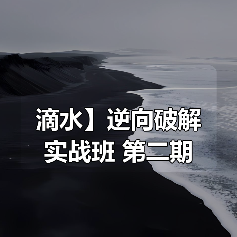 【滴水】逆向破解实战班 第二期|shaocun资源站 - 你的知识成长补给站