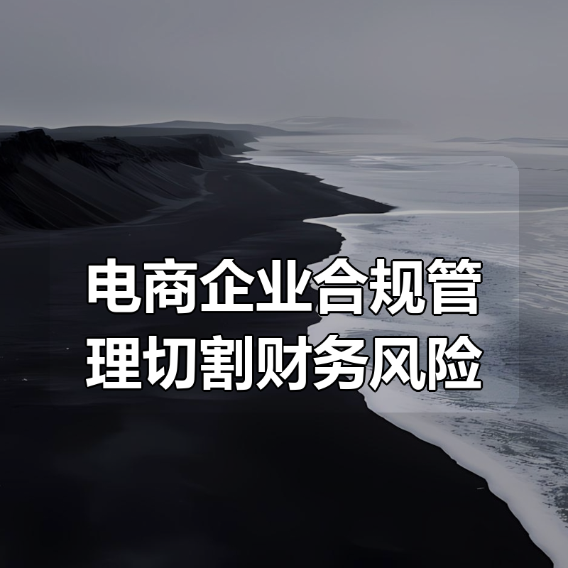 电商企业合规管理切割财务风险|shaocun资源站 - 你的知识成长补给站