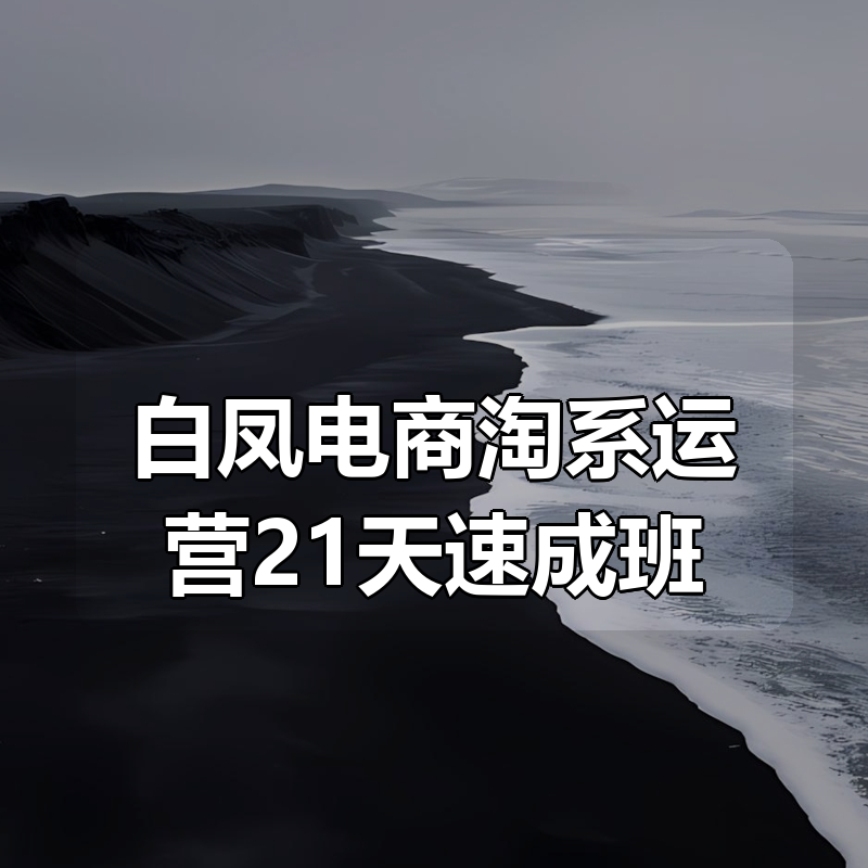 白凤电商淘系运营21天速成班|shaocun资源站 - 你的知识成长补给站
