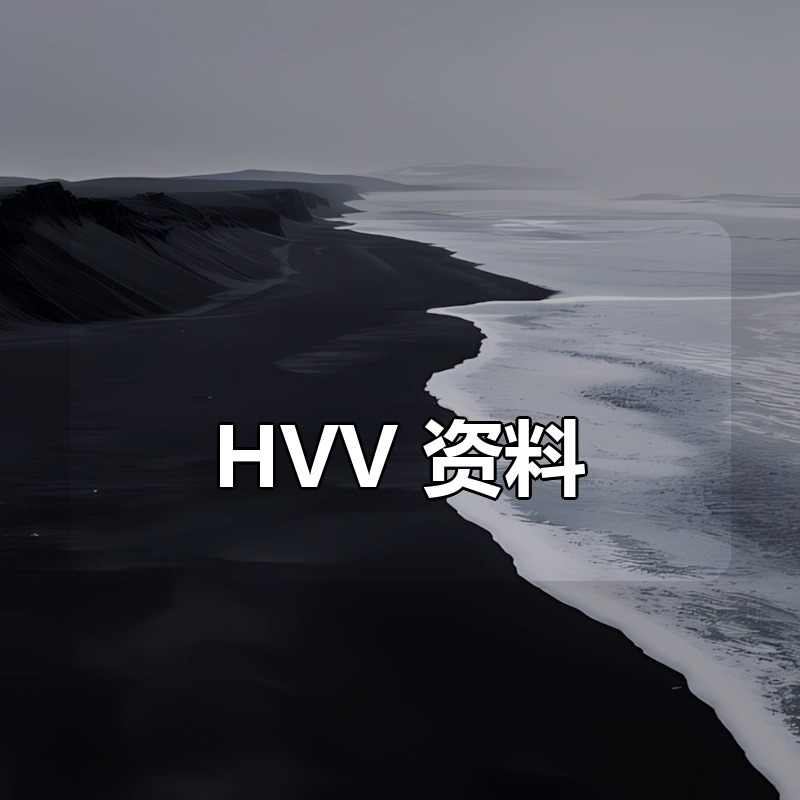 HVV 资料合集|shaocun资源站 - 你的知识成长补给站