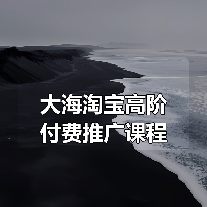 大海淘宝高阶付费推广课程|shaocun资源站 - 你的知识成长补给站