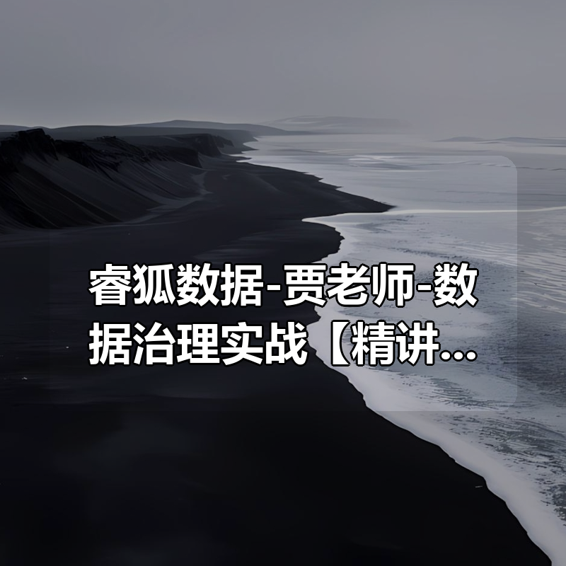 睿狐数据-贾老师-数据治理实战【精讲班】|shaocun资源站 - 你的知识成长补给站