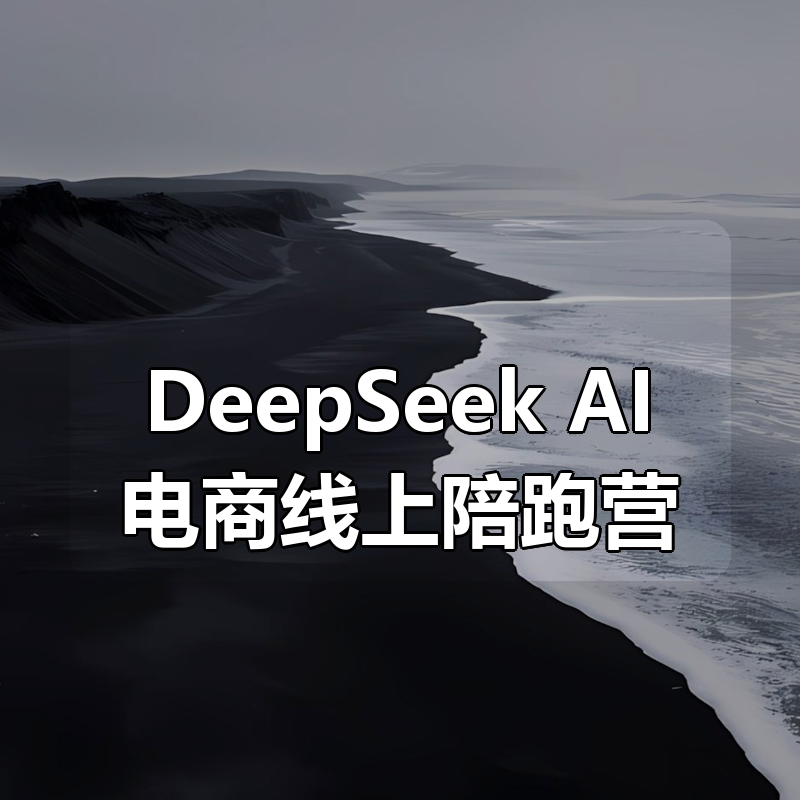 DeepSeek AI电商线上陪跑营|shaocun资源站 - 你的知识成长补给站