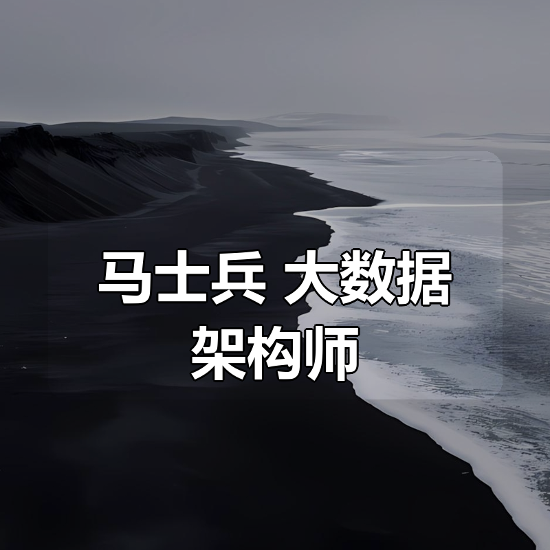 马士兵 大数据架构师|shaocun资源站 - 你的知识成长补给站