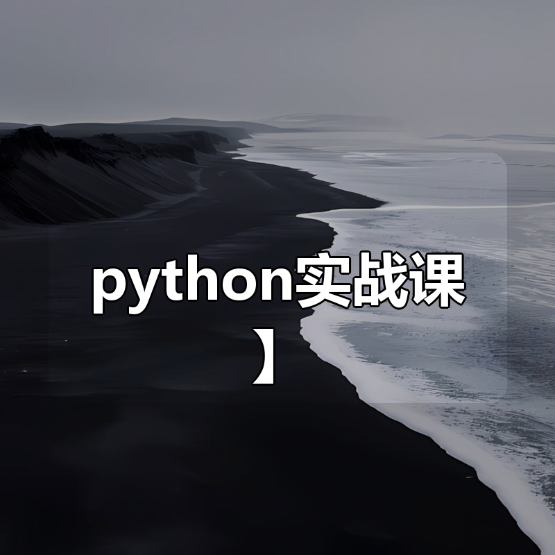 小飞有点东西【3门python实战课】|shaocun资源站 - 你的知识成长补给站