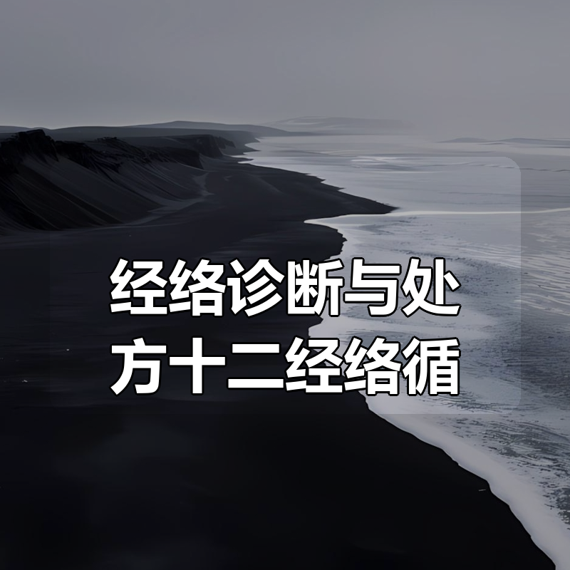 经络诊断与处方十二经络循