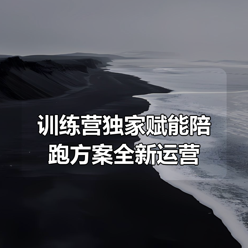 Tiktok线上60天落地陪跑训练营独家赋能陪跑方案全新运营技巧干货
