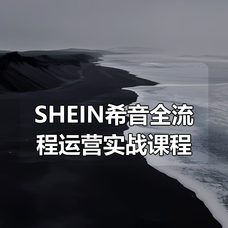SHEIN希音全流程运营实战课程|shaocun资源站 - 你的知识成长补给站
