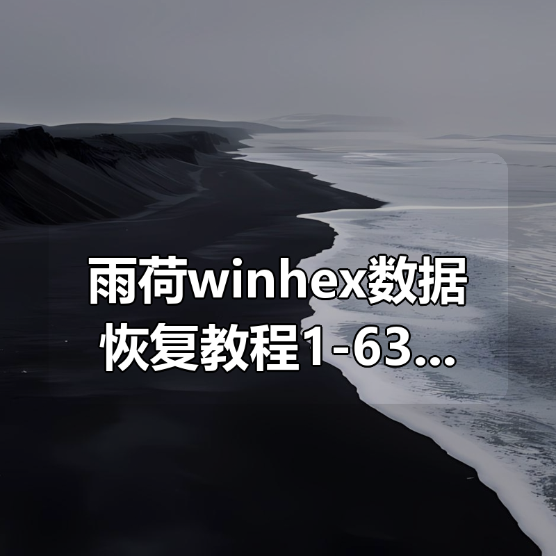雨荷winhex数据恢复教程(第一季)1-63集高清完整版|shaocun资源站 - 你的知识成长补给站