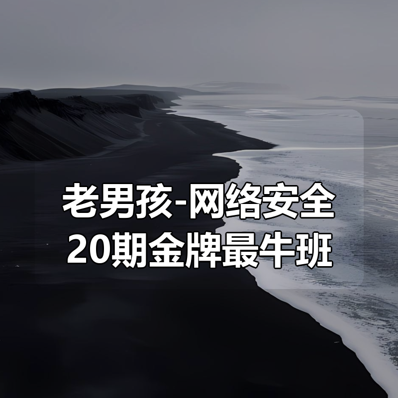 老男孩-网络安全20期金牌最牛班|shaocun资源站 - 你的知识成长补给站
