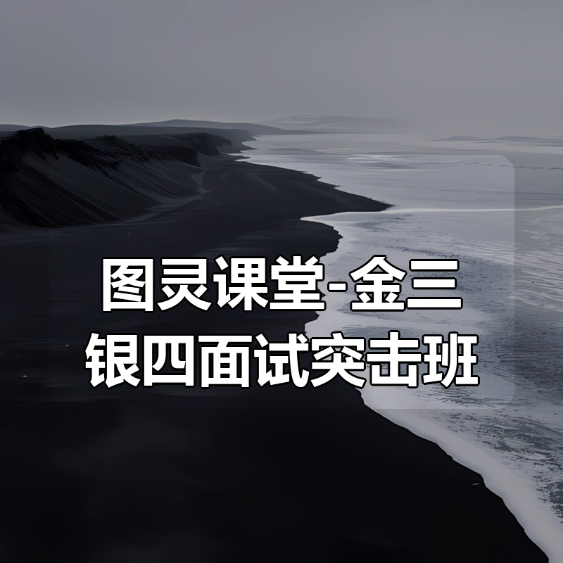 图灵课堂-金三银四面试突击班|shaocun资源站 - 你的知识成长补给站