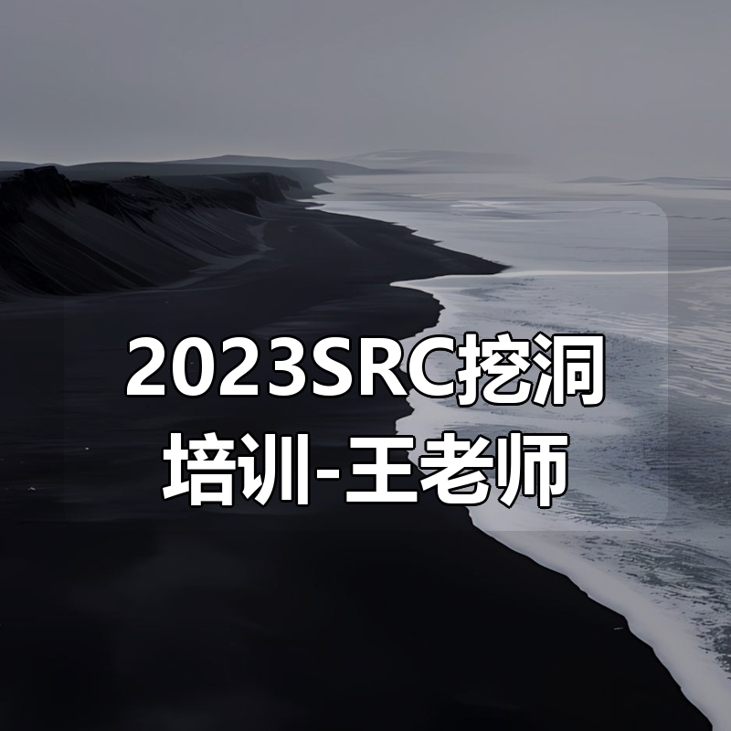 2023SRC挖洞培训-王老师|shaocun资源站 - 你的知识成长补给站