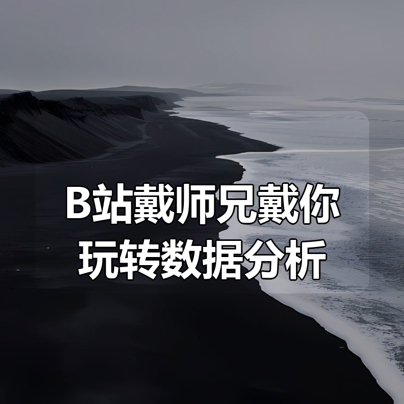 【课件资料齐全】B站戴师兄戴你玩转数据分析