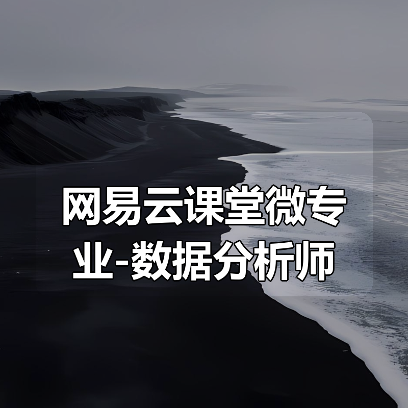 🔥 网易云课堂微专业-数据分析师（Excel+SQL）|shaocun资源站 - 你的知识成长补给站