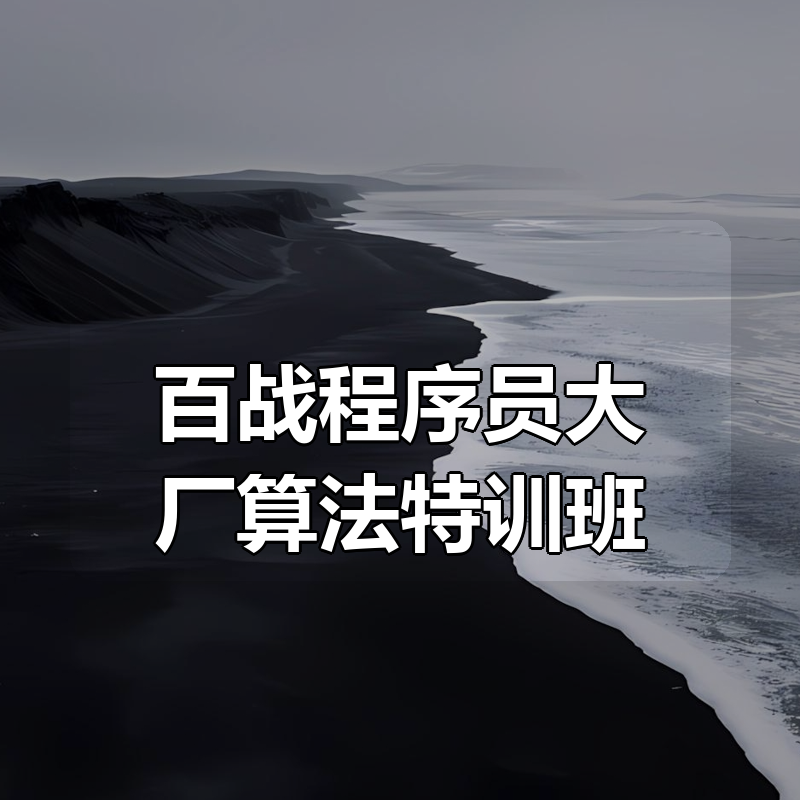 百战程序员大厂算法特训班