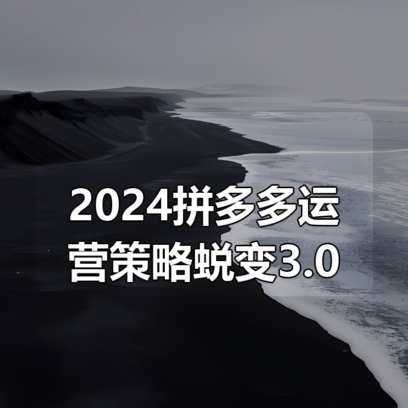 2024拼多多运营策略蜕变3.0|shaocun资源站 - 你的知识成长补给站