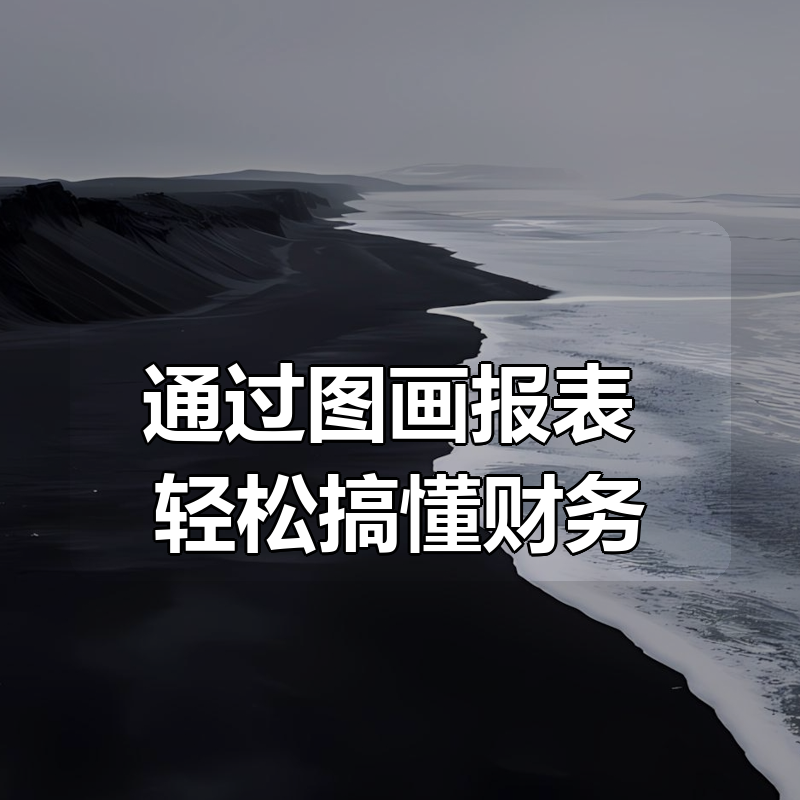 通过图画报表，轻松搞懂财务|shaocun资源站 - 你的知识成长补给站