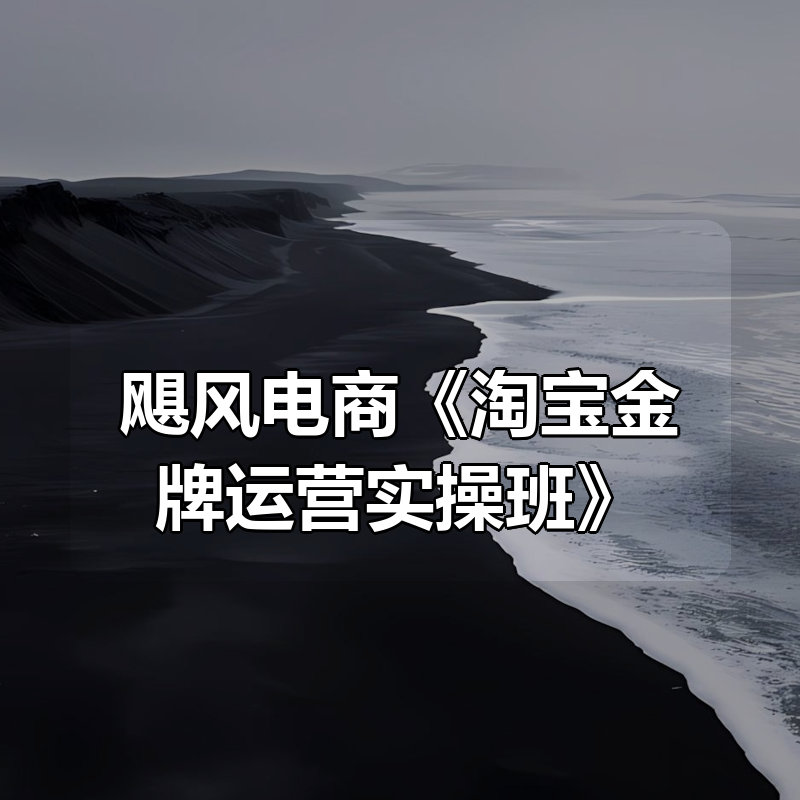 飓风电商《淘宝金牌运营实操班》|shaocun资源站 - 你的知识成长补给站