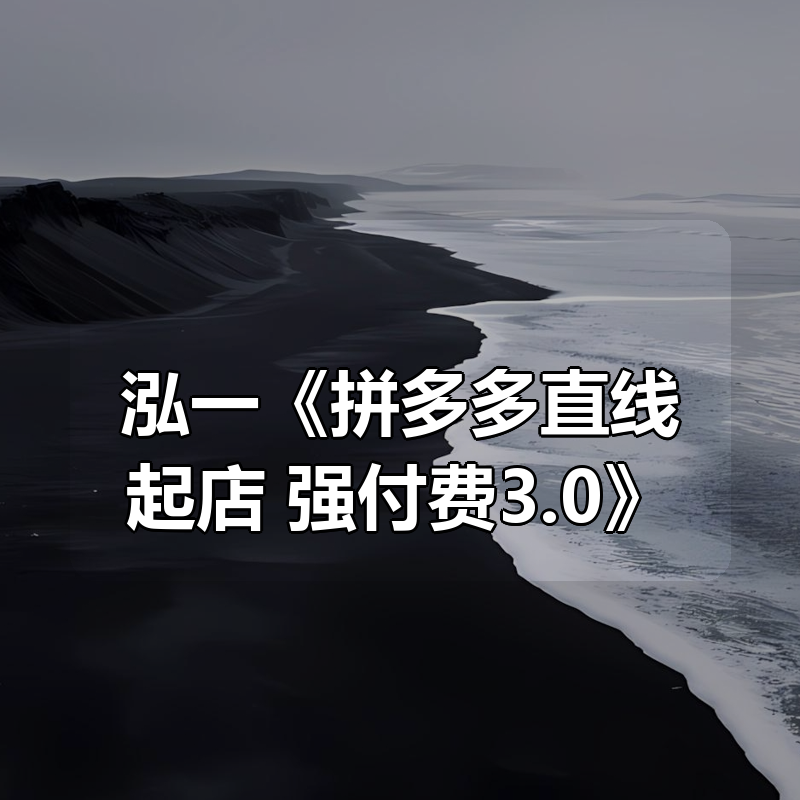 泓一《拼多多直线起店+强付费3.0》|shaocun资源站 - 你的知识成长补给站