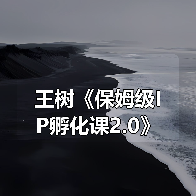 王树《保姆级IP孵化课2.0》|shaocun资源站 - 你的知识成长补给站