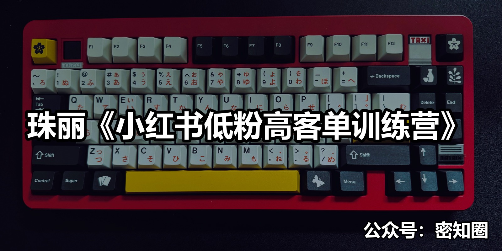 珠丽《小红书低粉高客单训练营》|shaocun资源站 - 你的知识成长补给站