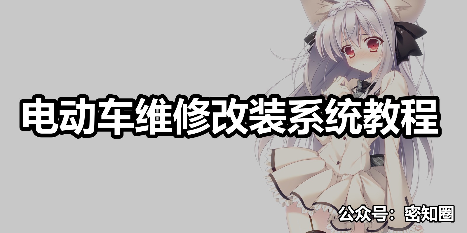 电动车维修改装系统教程|shaocun资源站 - 你的知识成长补给站